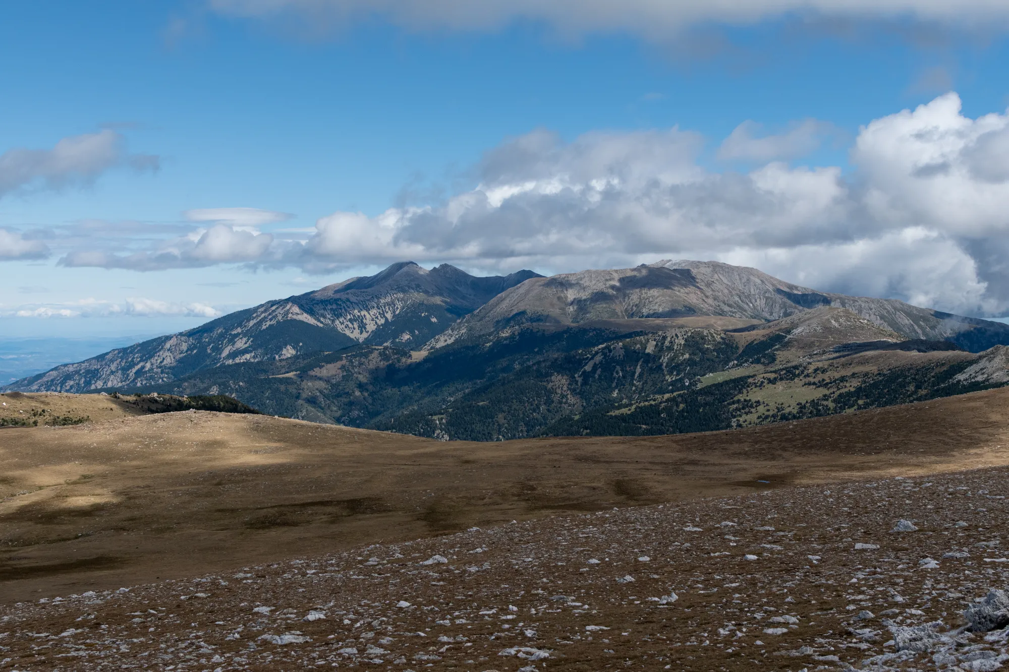 image 0 of Vallter 2000